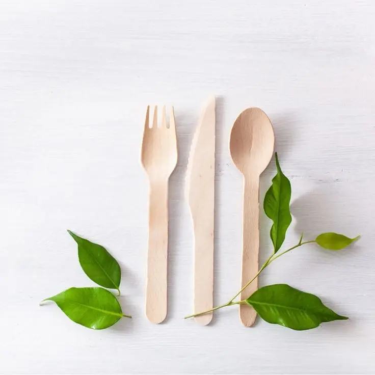 Bamboo & Wooden Cutlery